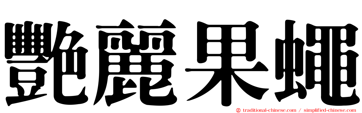 艷麗果蠅