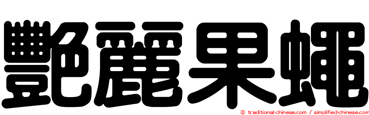 艷麗果蠅
