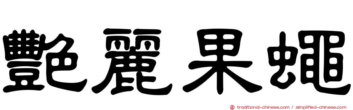 艷麗果蠅