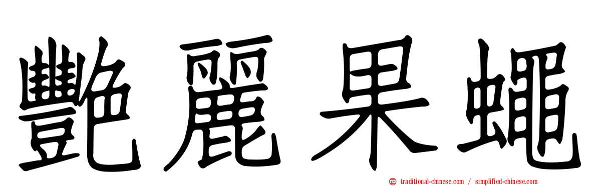 艷麗果蠅
