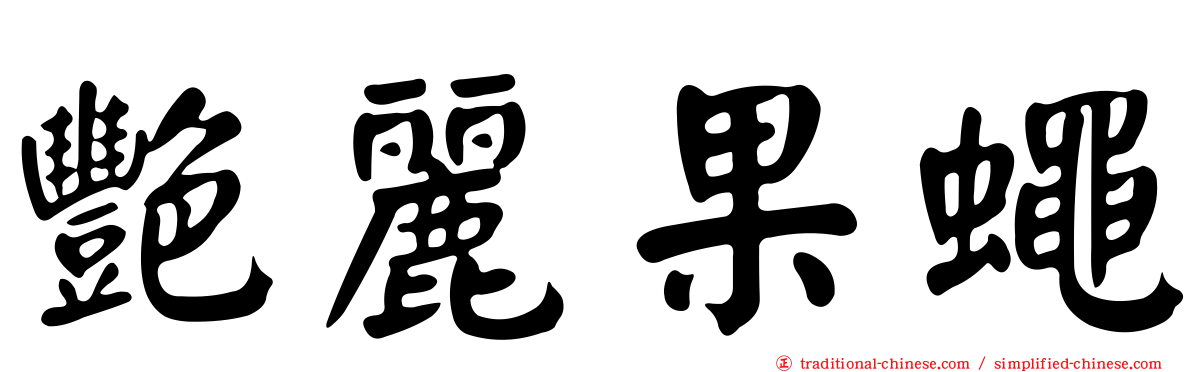 艷麗果蠅