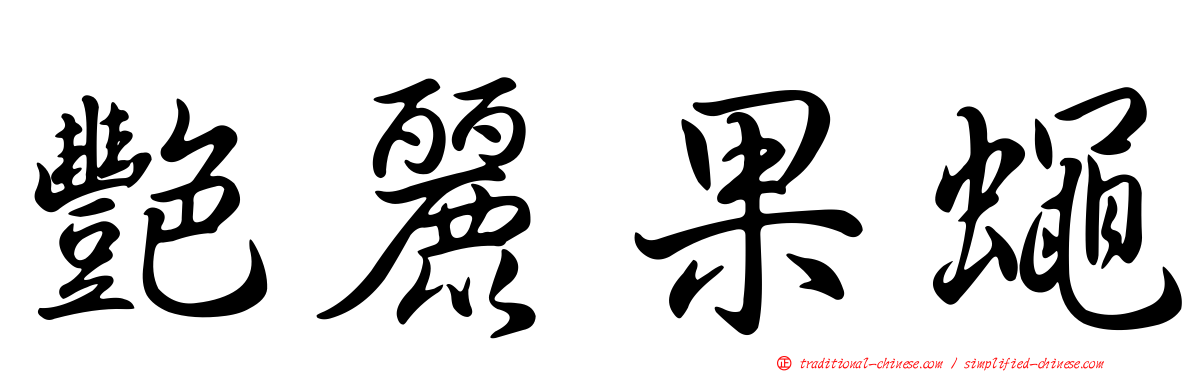 艷麗果蠅