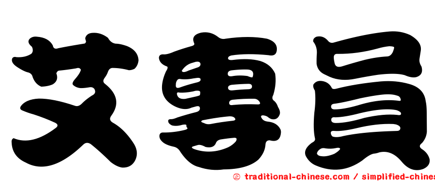 艾專員
