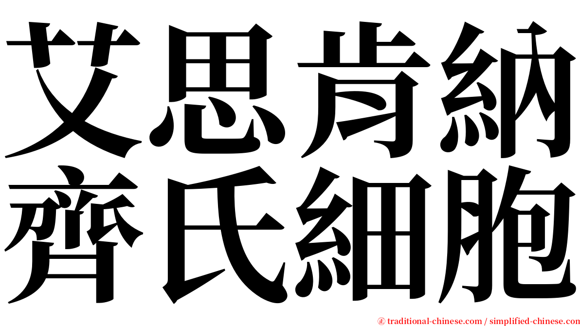 艾思肯納齊氏細胞 serif font