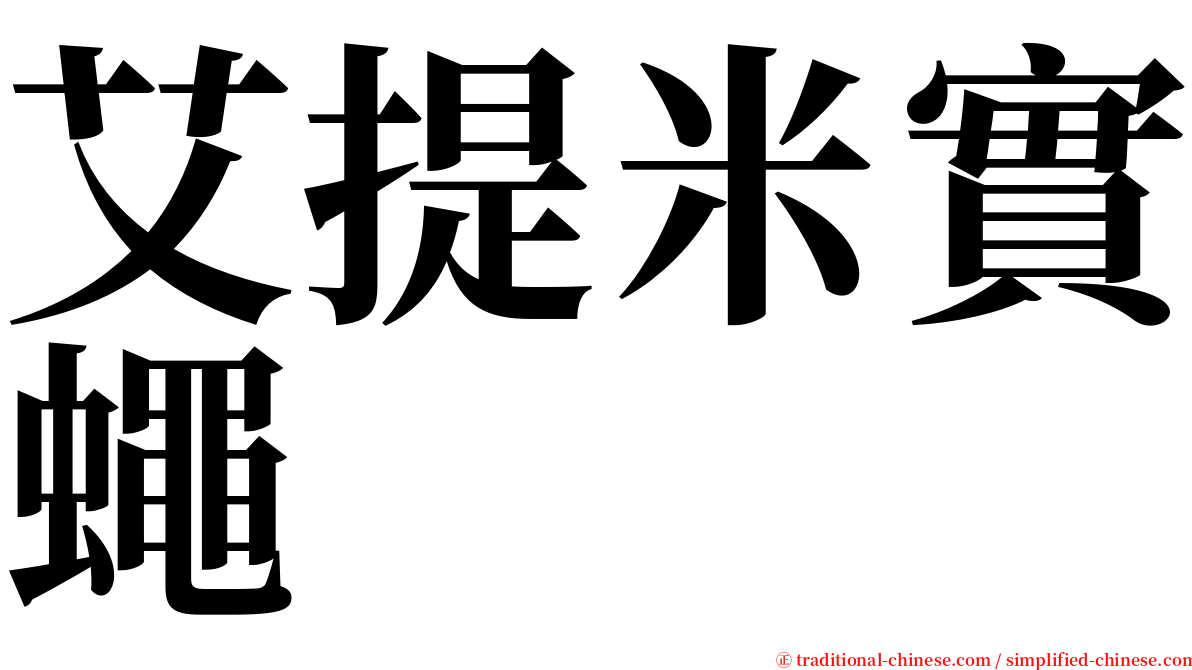 艾提米實蠅 serif font