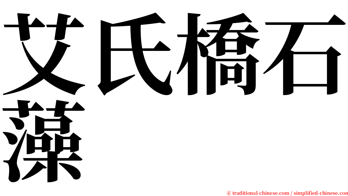艾氏橋石藻 serif font