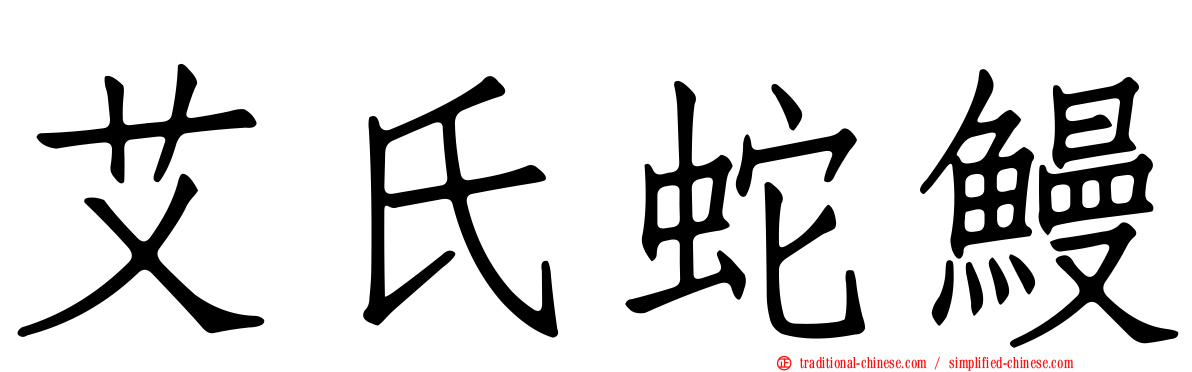 艾氏蛇鰻