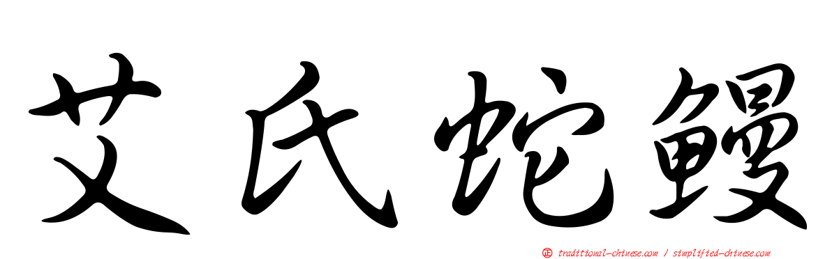 艾氏蛇鰻