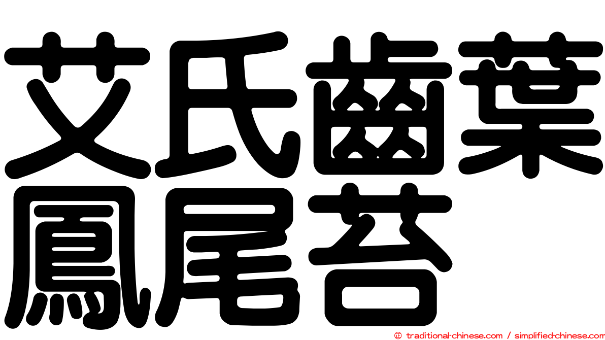 艾氏齒葉鳳尾苔