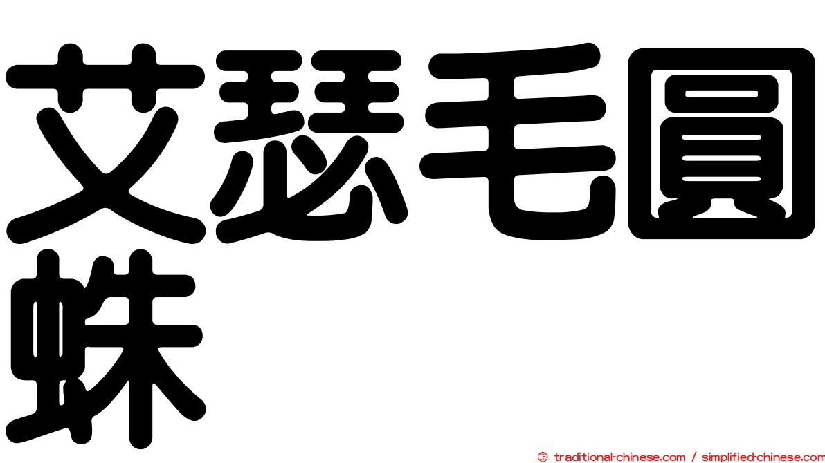 艾瑟毛圓蛛