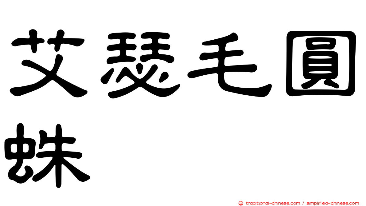 艾瑟毛圓蛛