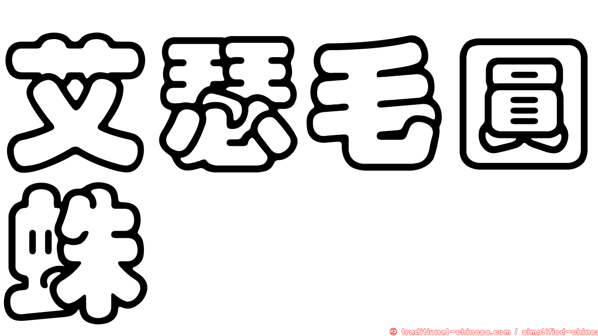 艾瑟毛圓蛛
