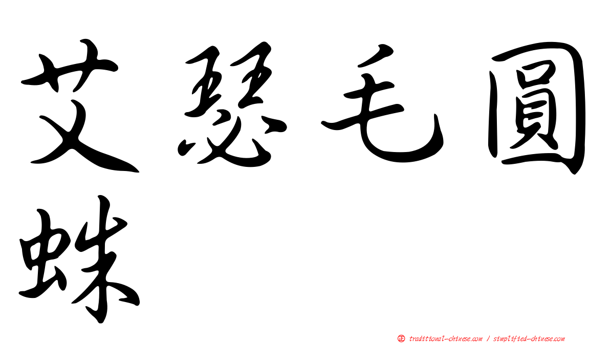 艾瑟毛圓蛛