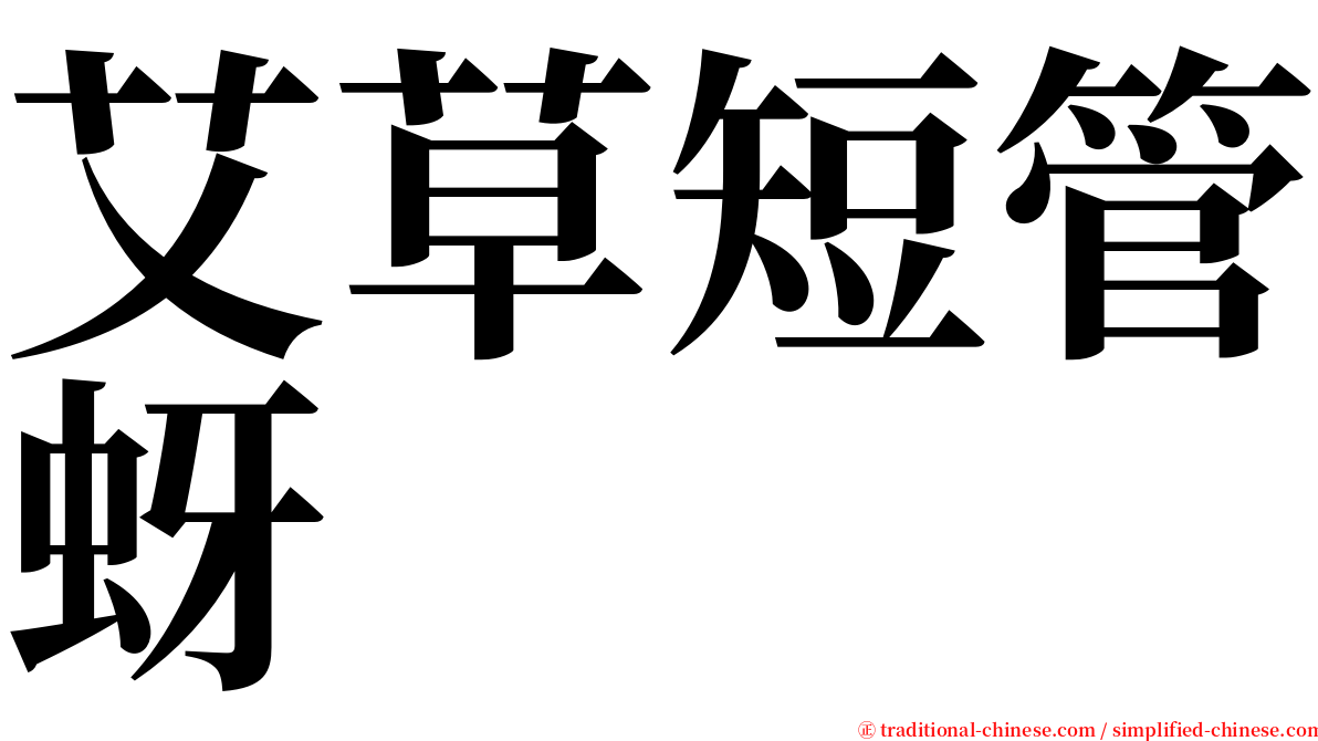 艾草短管蚜 serif font