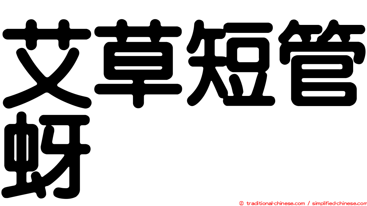 艾草短管蚜