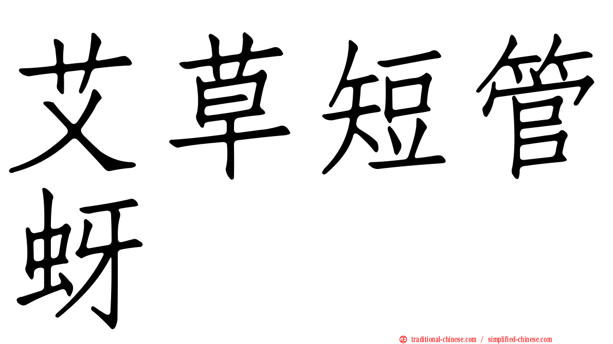 艾草短管蚜