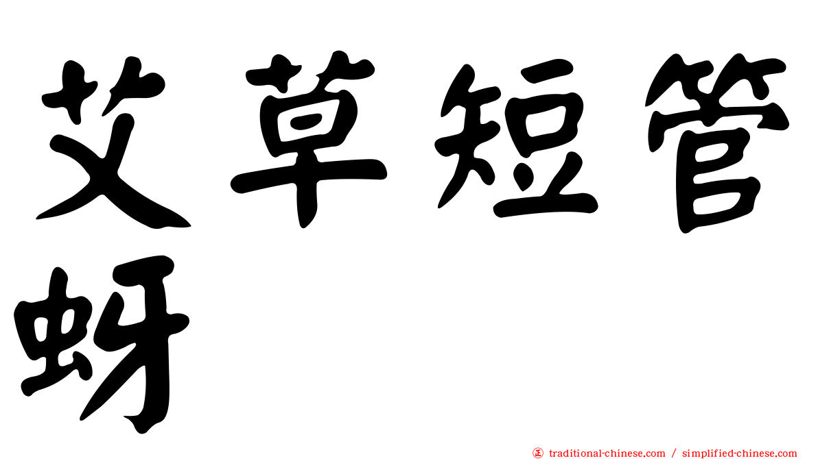 艾草短管蚜