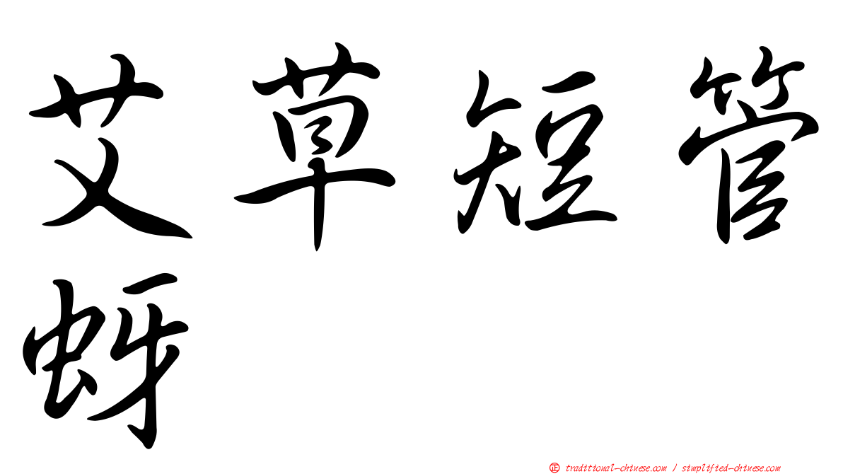 艾草短管蚜