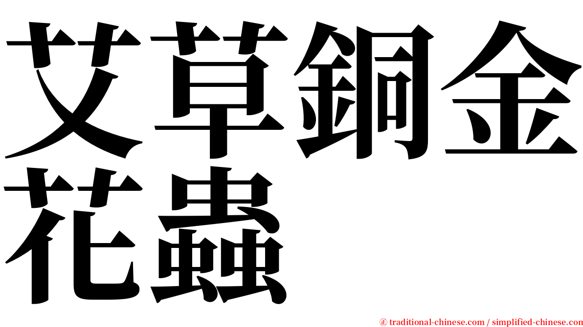 艾草銅金花蟲 serif font