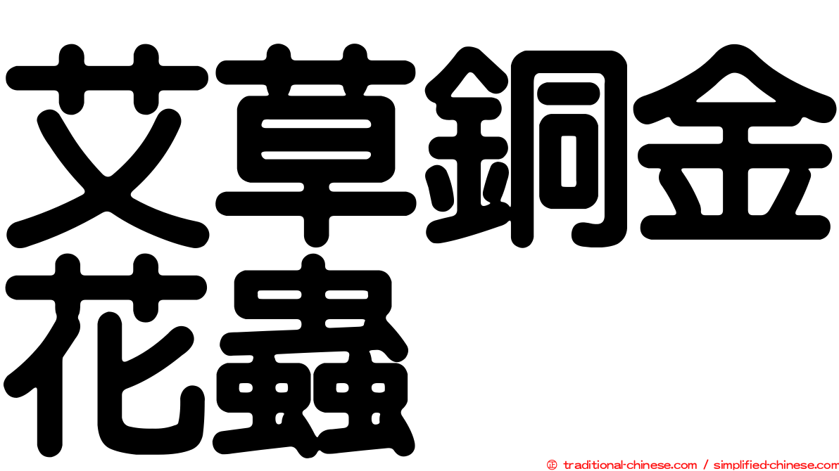 艾草銅金花蟲