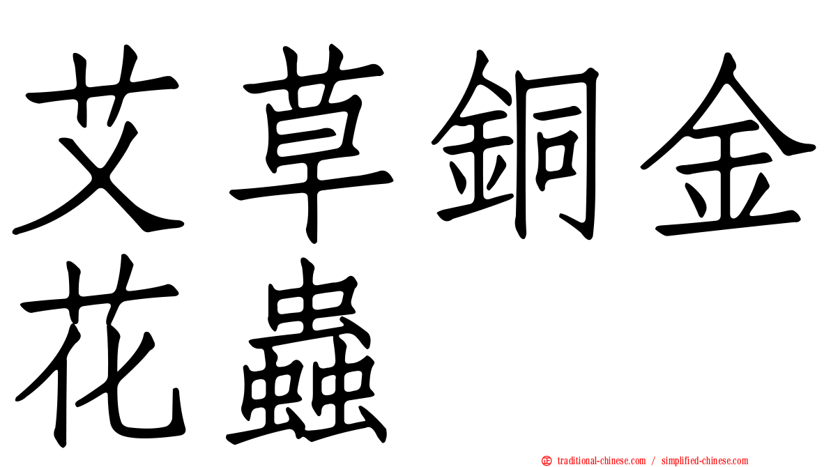 艾草銅金花蟲