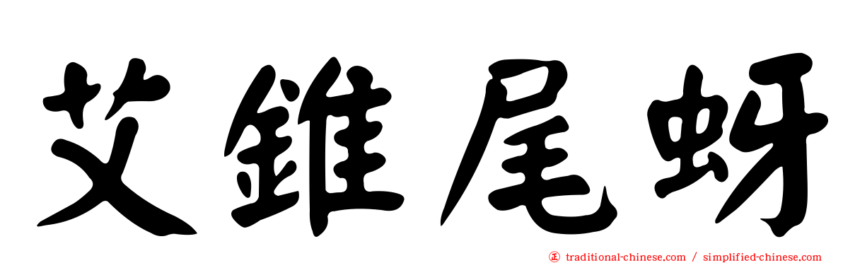 艾錐尾蚜