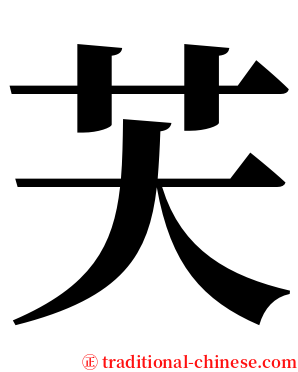 芖 serif font