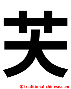 芖