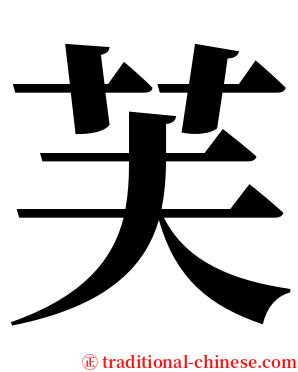 芙 serif font