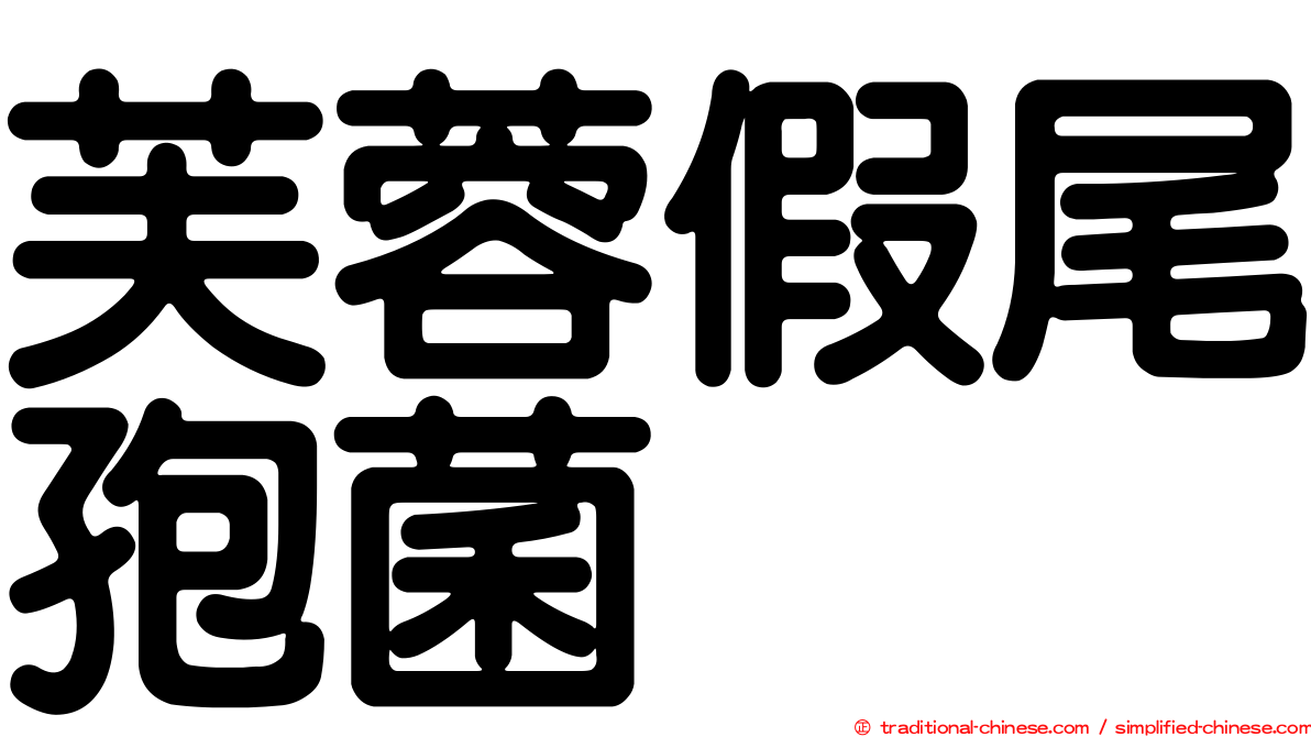 芙蓉假尾孢菌