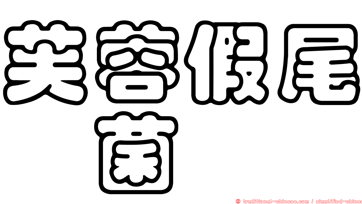 芙蓉假尾孢菌