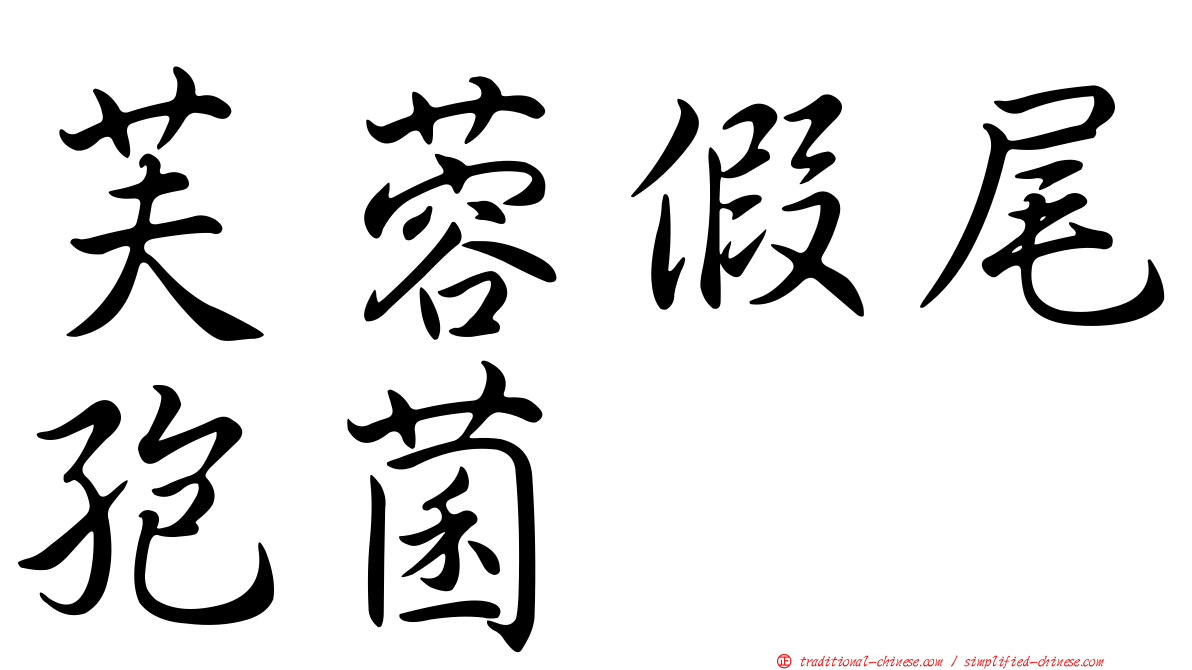 芙蓉假尾孢菌