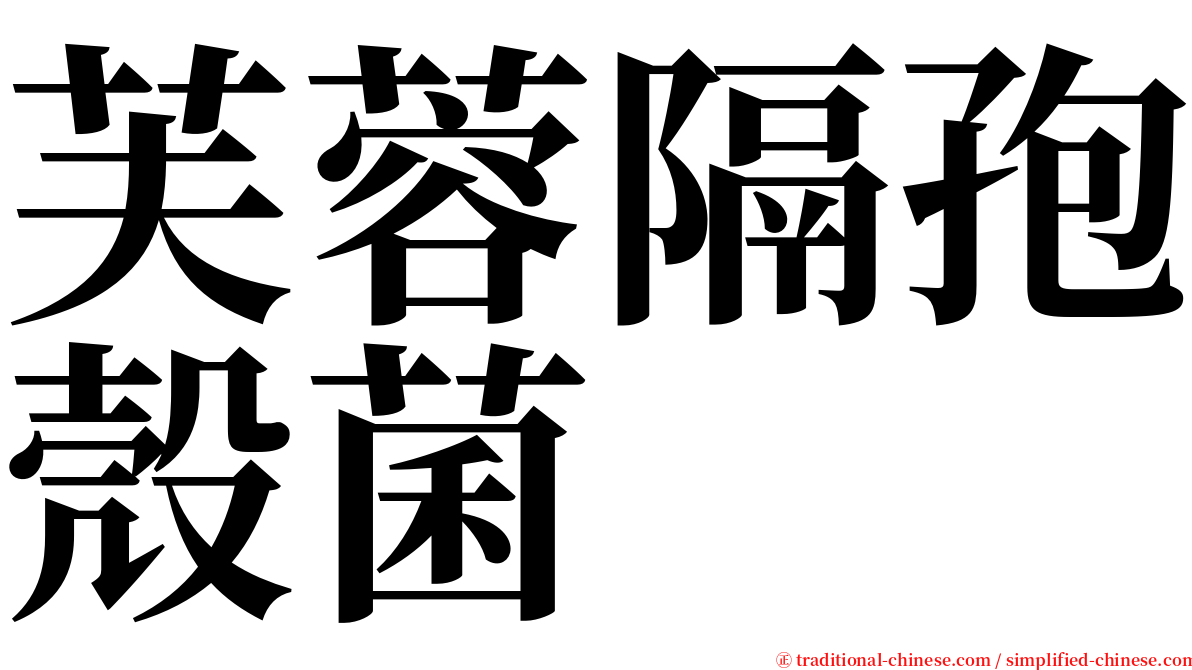 芙蓉隔孢殼菌 serif font