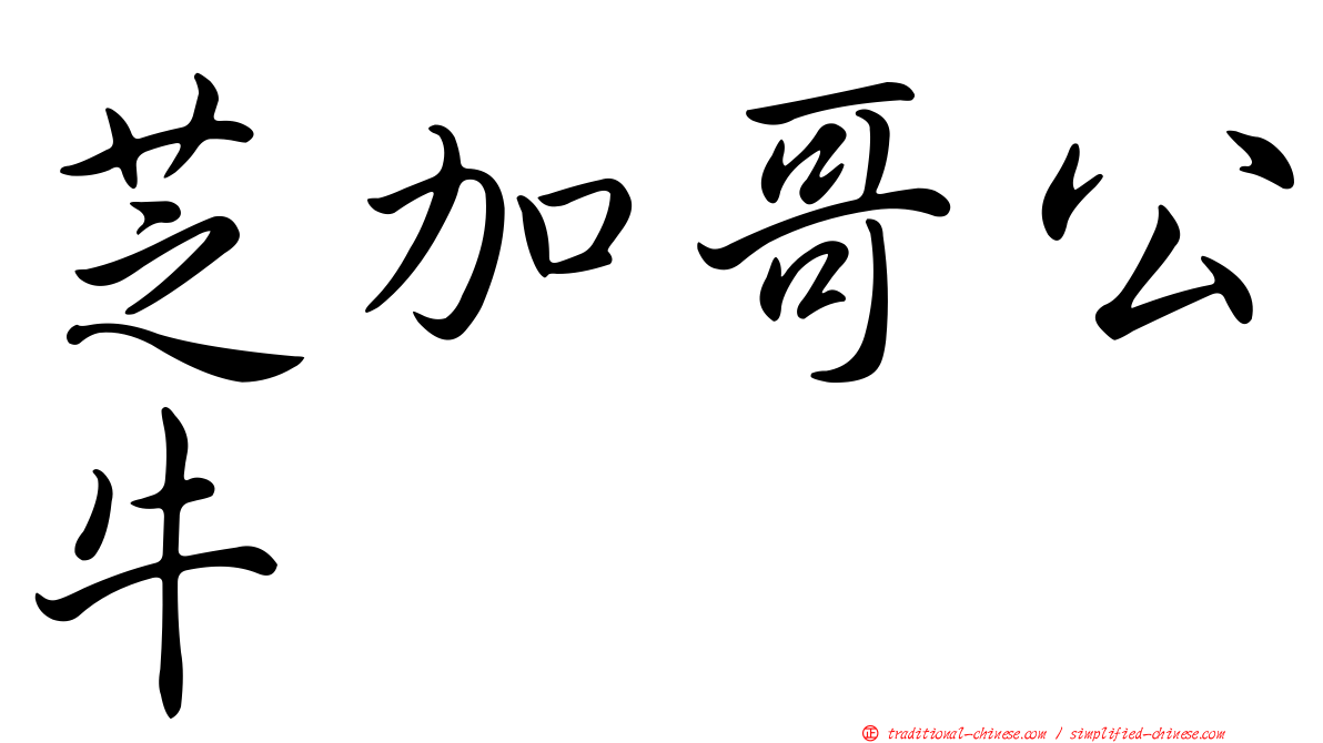 芝加哥公牛
