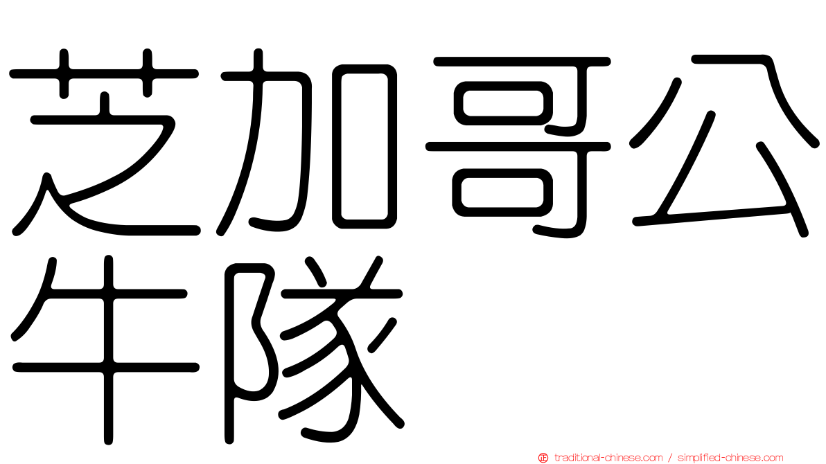 芝加哥公牛隊