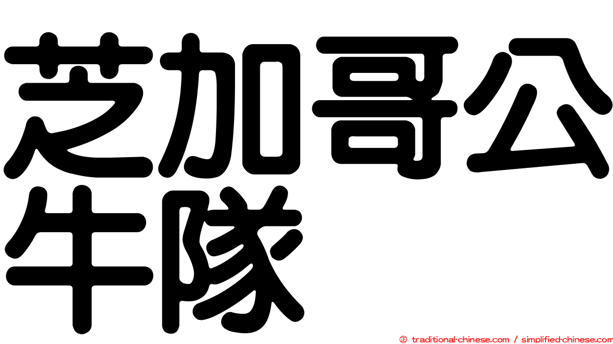 芝加哥公牛隊