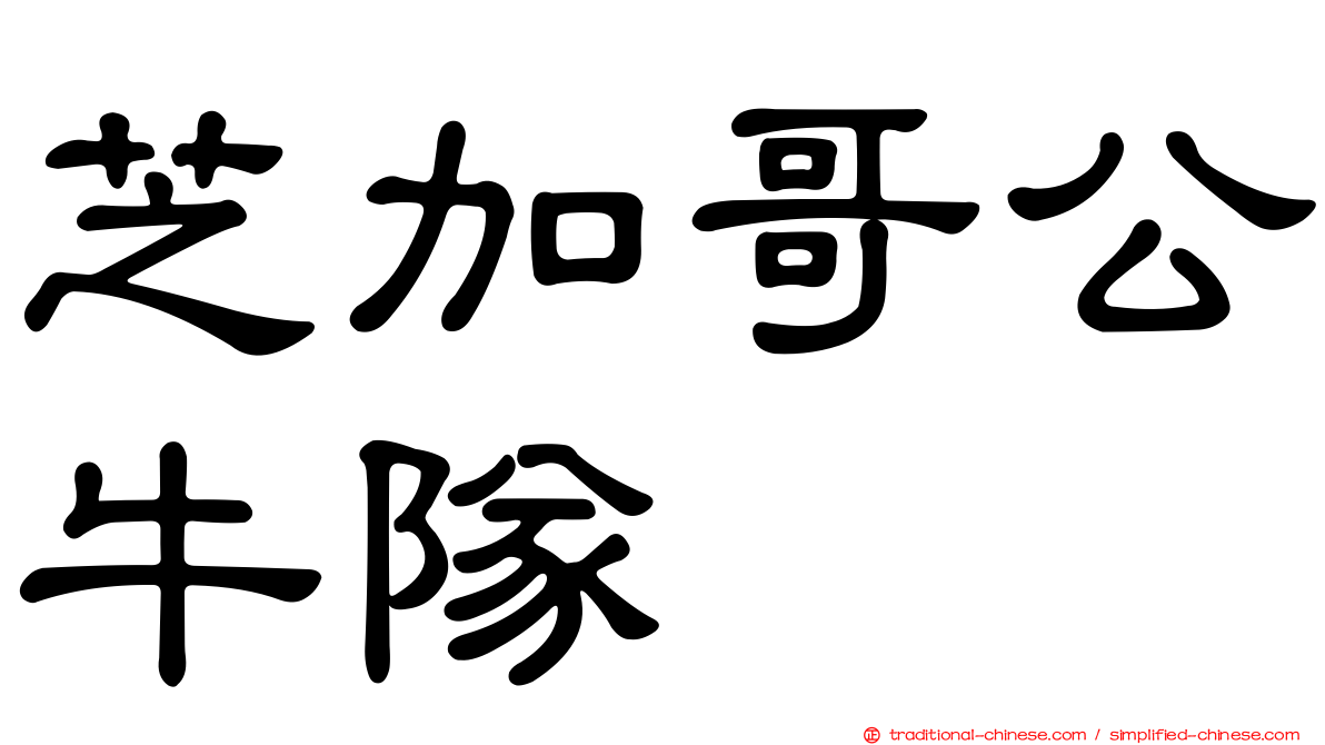 芝加哥公牛隊