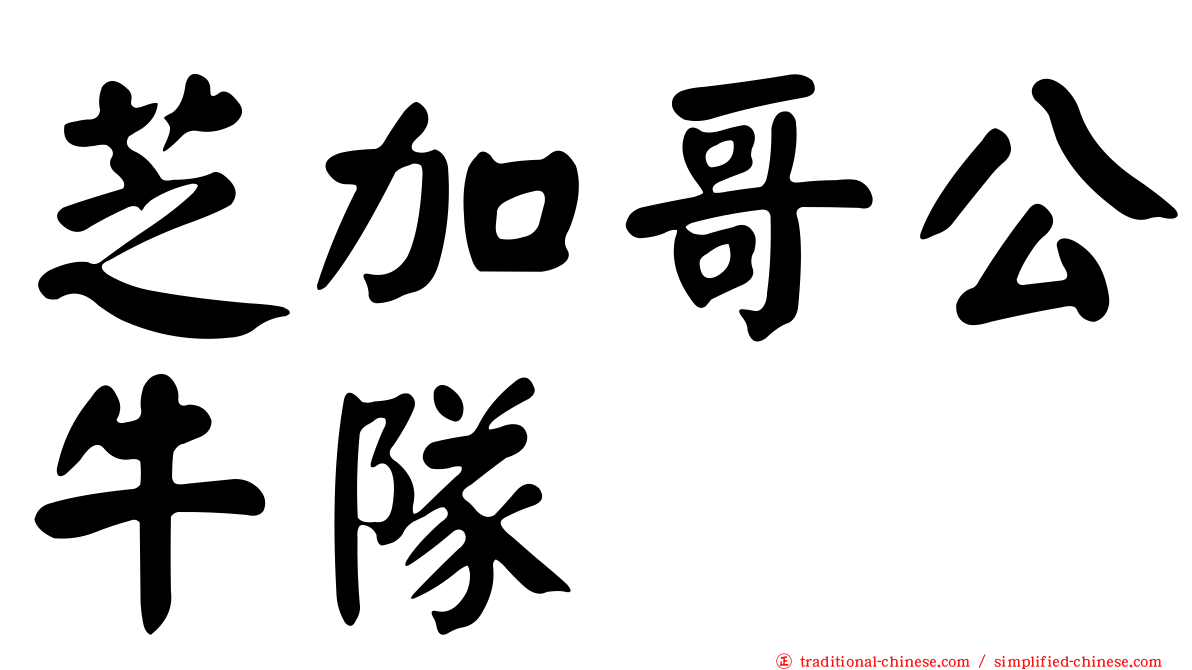 芝加哥公牛隊