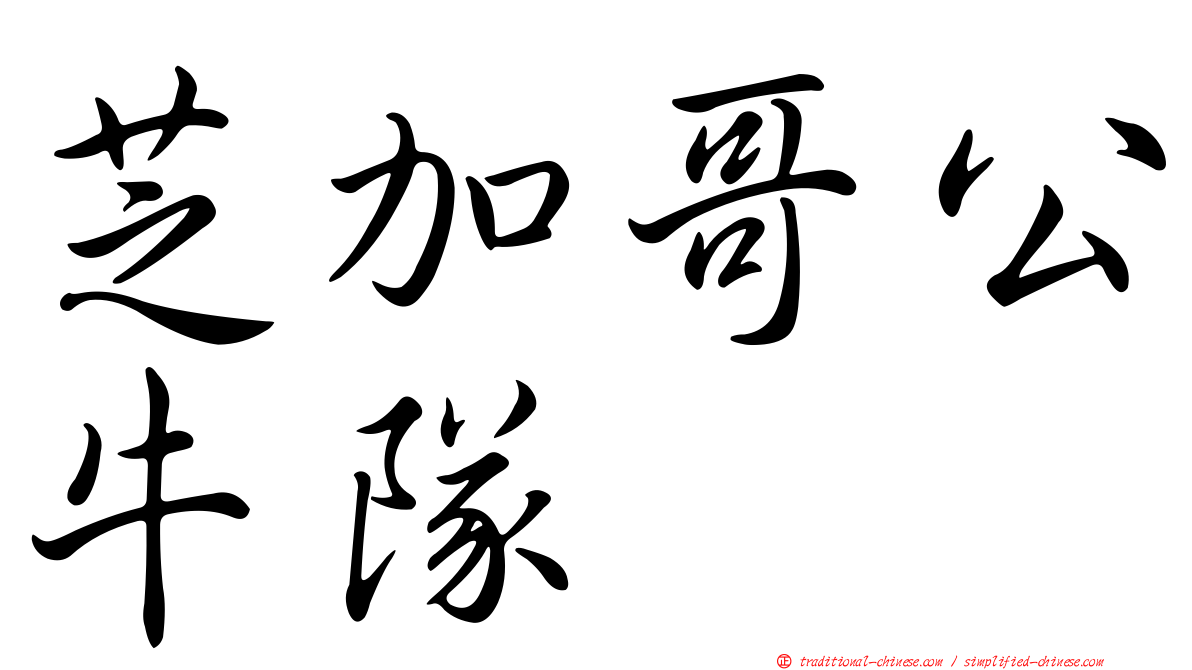 芝加哥公牛隊