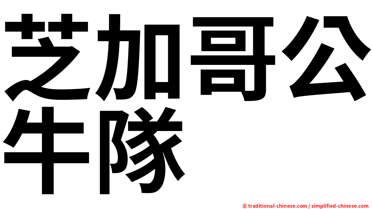 芝加哥公牛隊