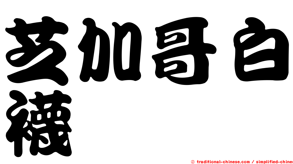芝加哥白襪