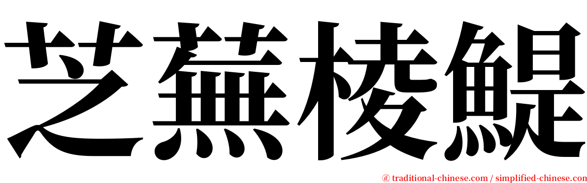 芝蕪棱鯷 serif font