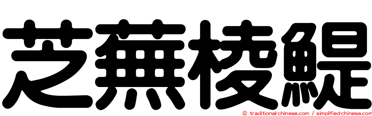 芝蕪棱鯷
