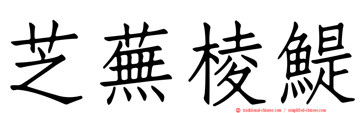 芝蕪棱鯷