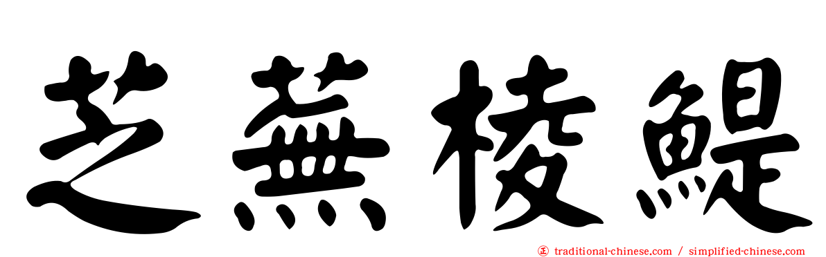 芝蕪棱鯷