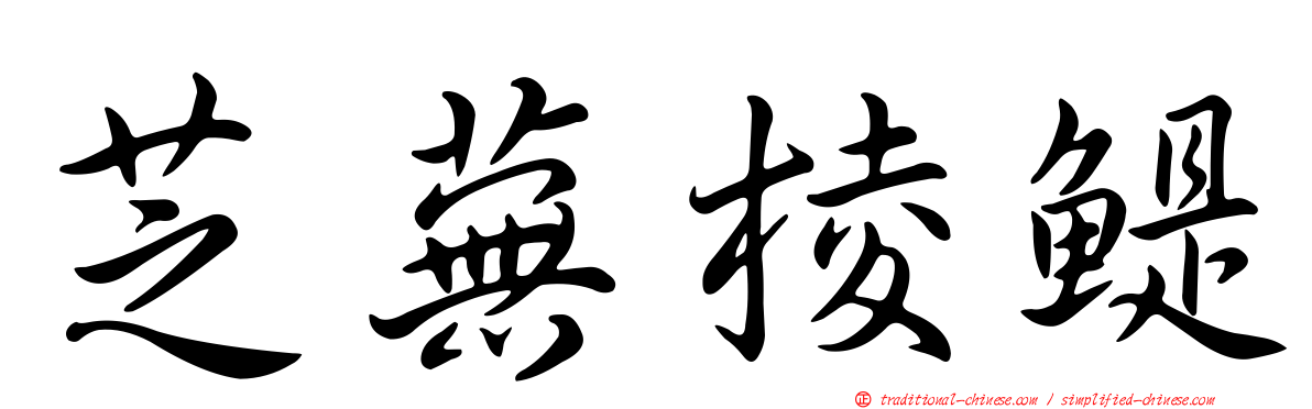 芝蕪棱鯷