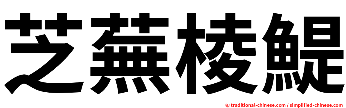芝蕪棱鯷