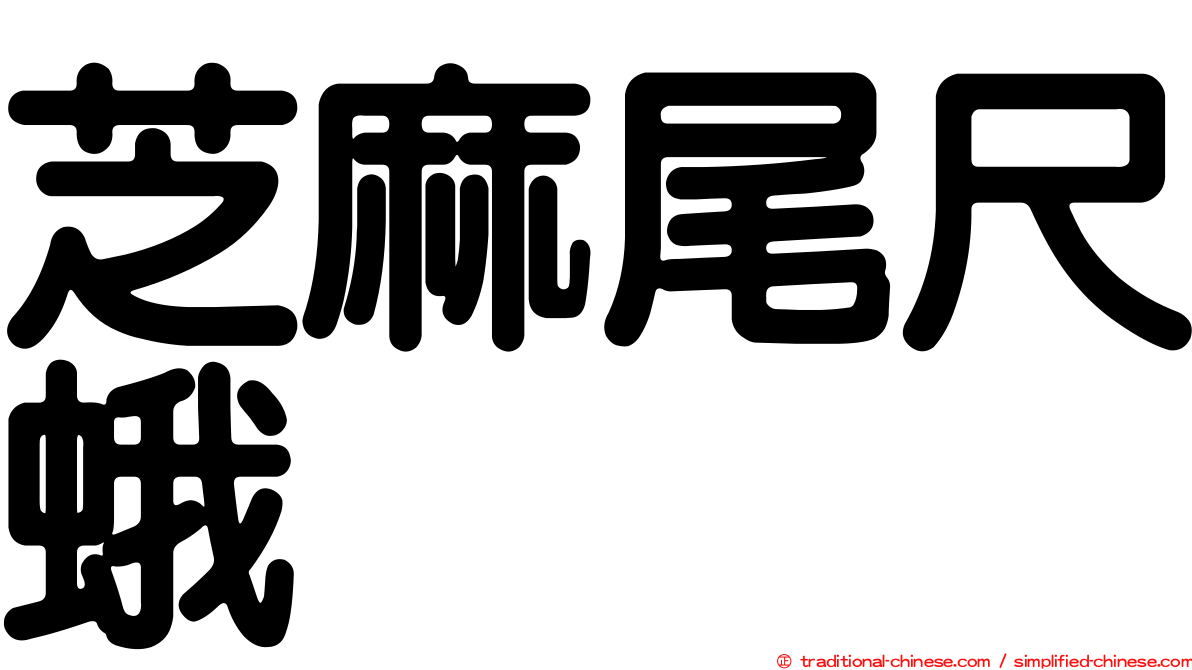 芝麻尾尺蛾