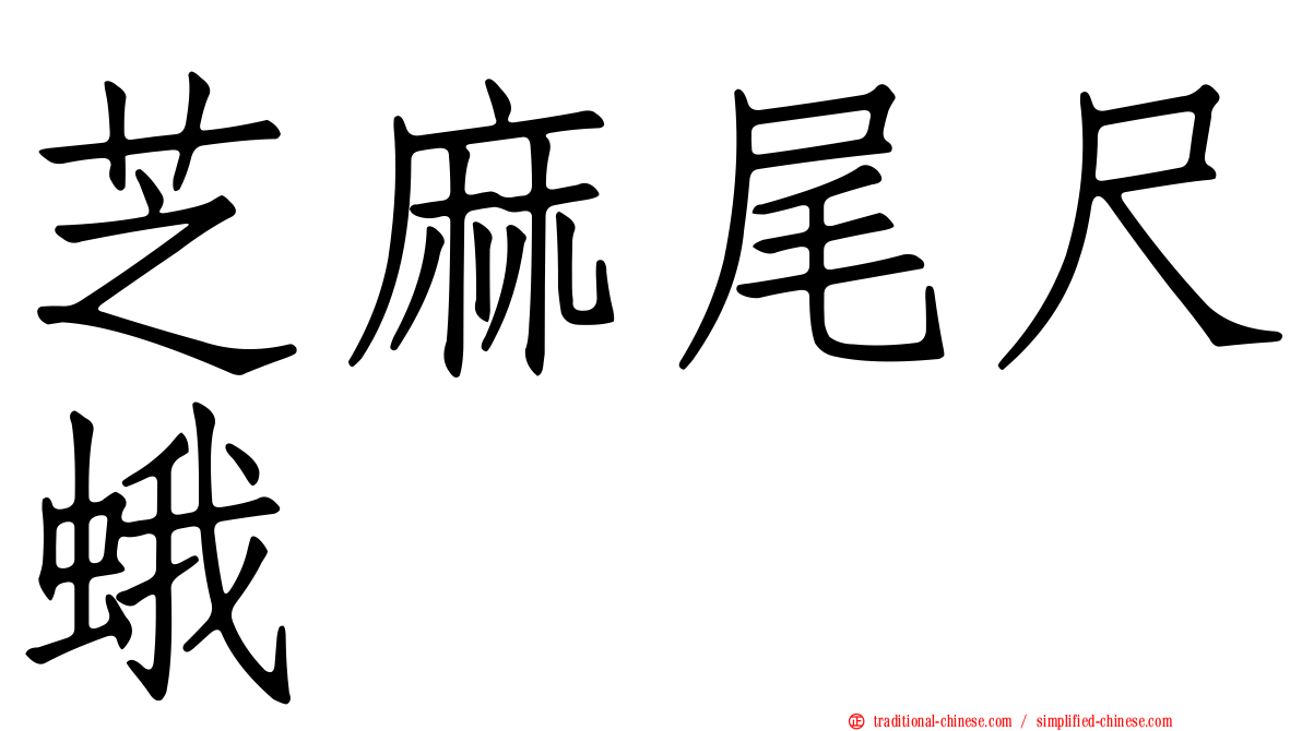 芝麻尾尺蛾