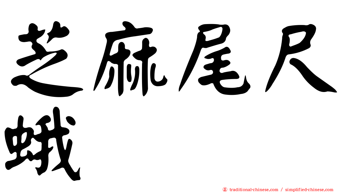 芝麻尾尺蛾